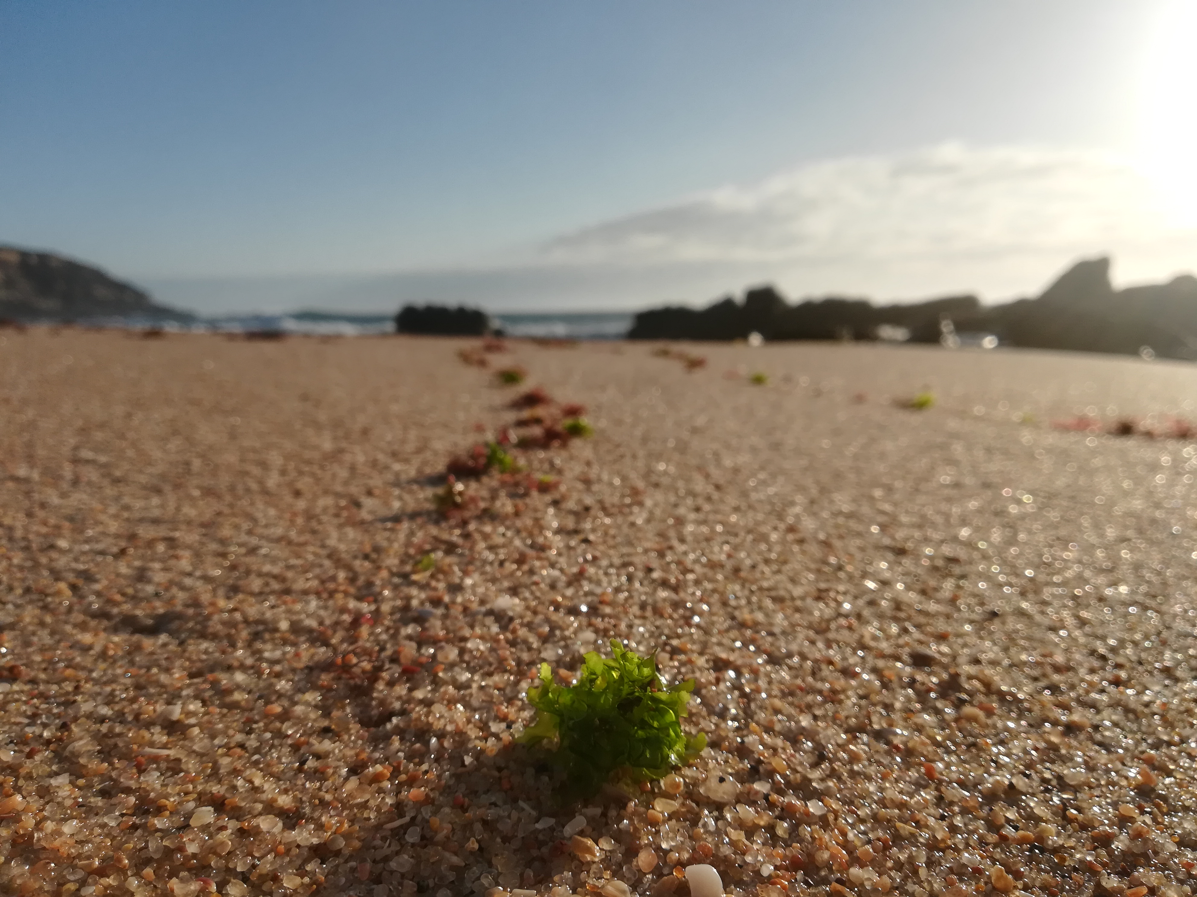 Esta é uma das muitas fotos que tinha oportunidade de tirar por estar perto mar.